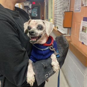 2e4856182be83afe3c66c3e5df742d7c