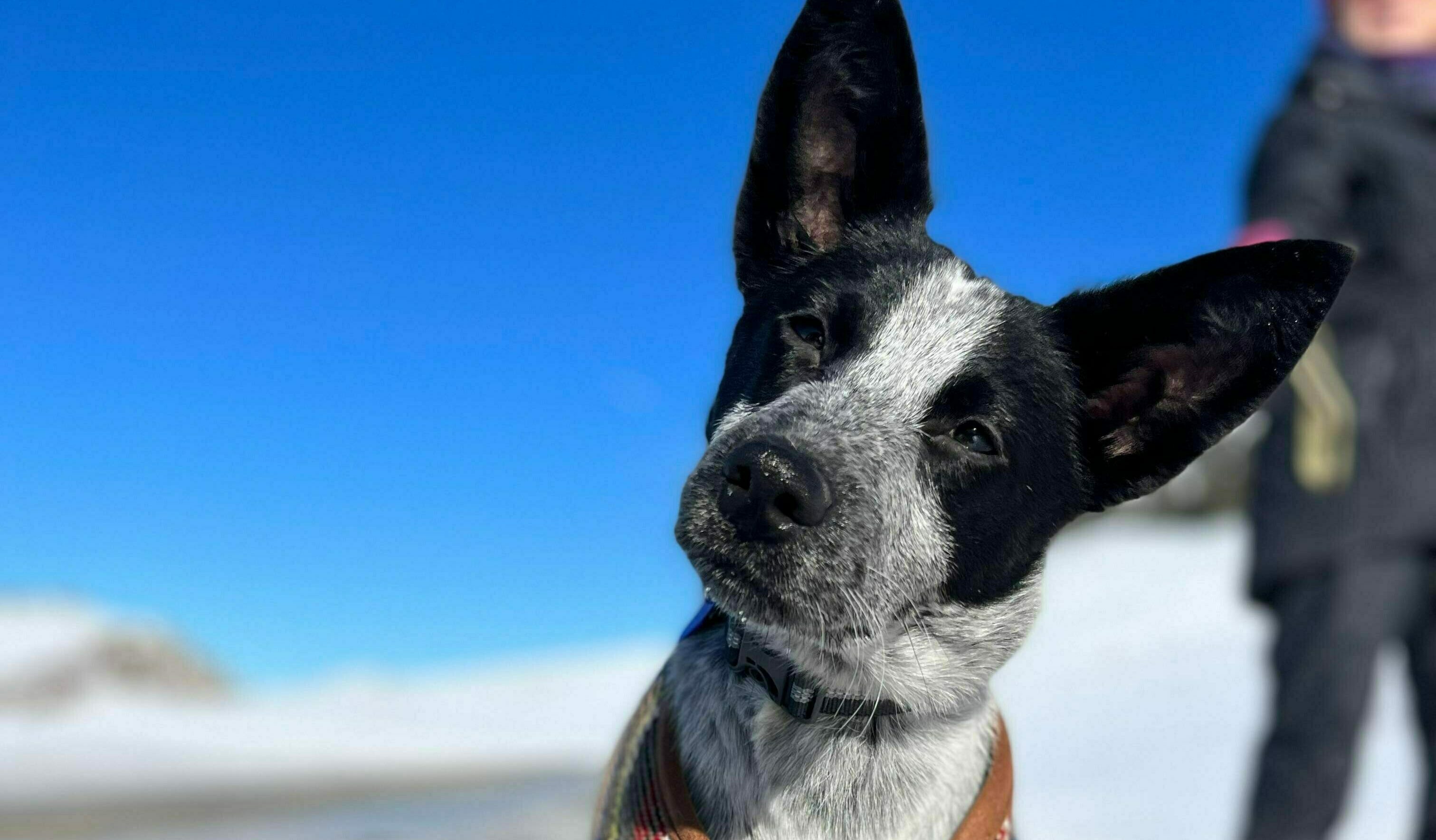 326569139 1277143046507145 6053562363609932775 n 3 2023 08 11 200201 fkhs