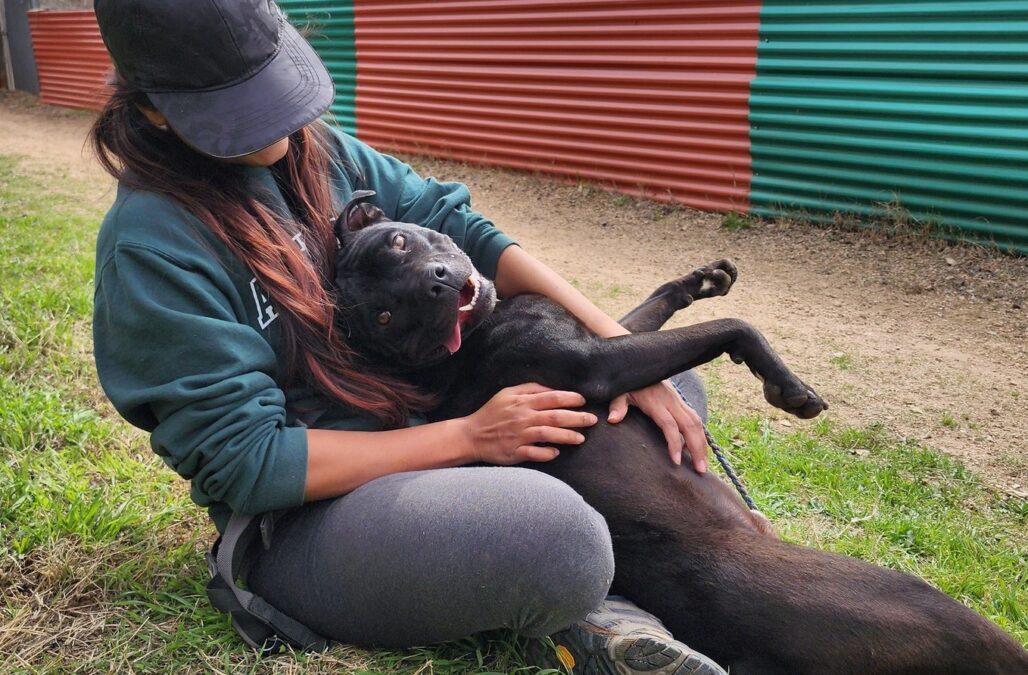 330823131 1178466272843615 3937872203721881762 n