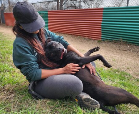 330823131 1178466272843615 3937872203721881762 n