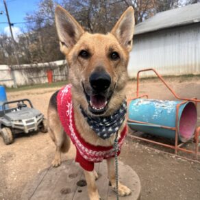 3314bc0fc82beb6987449e7a08f33f17