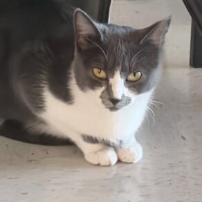 33423c31dbb06ea79468bfb2e333d108