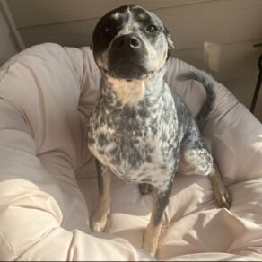 35425e0e0bdfcf0c80d5b6614d6a89a8