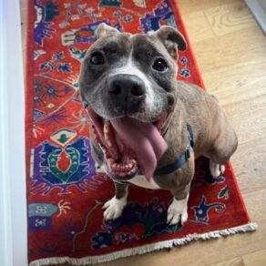 38039cf51ec56e312501355d5466648a