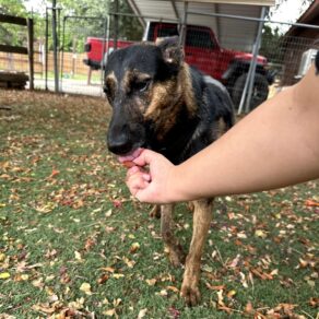 3904725fdff25e8fccb273afaa509b08