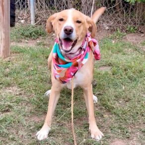 3953b7ddcddb665bd9cc222f3d359464