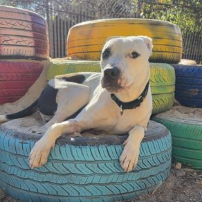 3a68e1801d3004f398d66c0407825595