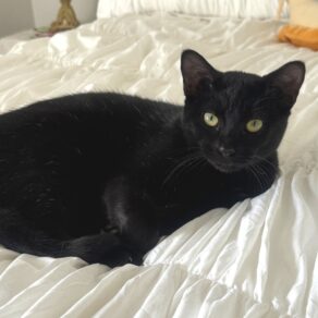 3b2e91e5557266c9b0deb8e8cae19a2a