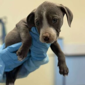 3b8c4d4dcf950ec2ad054b60731d5741