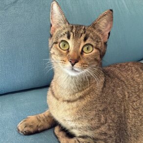 3c1314019d48d8be77388dba3e91ff63