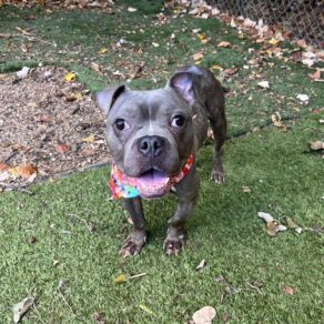 3d8ac18d9a2031cbe2965ef62ad9245b