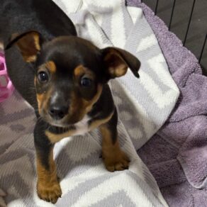 4041f85d4fabb2db418e3d4bc80e75aa