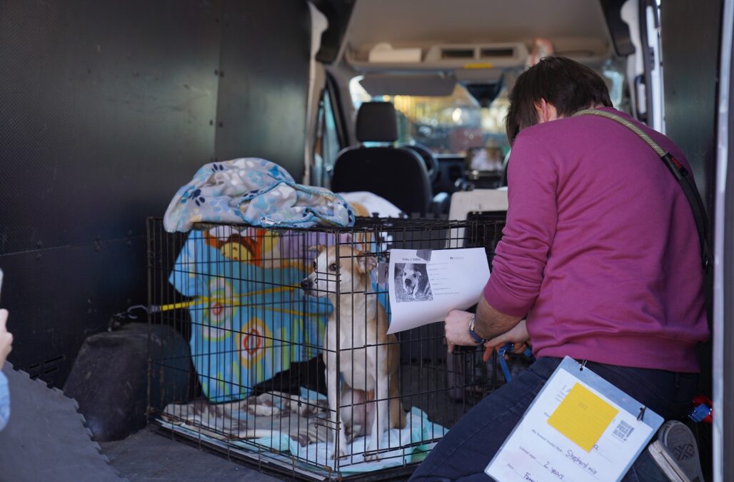 412321644 891837688965464 4265164483890797726 n