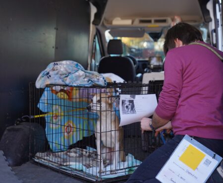 412321644 891837688965464 4265164483890797726 n