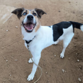 446ca4bfce85f0e21c1b7502c5f12afa