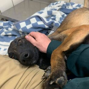 46feb1809178093c762ffd6a5a3bdc34