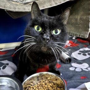 476699723141bc8fc94f08e9e39cab61