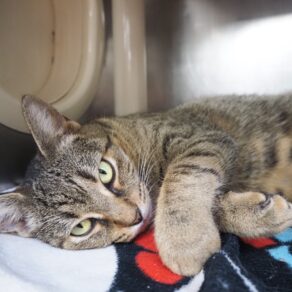 487c89fb2ca6cc7e94e19b192393ce4d