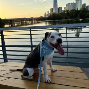 488b591e6670d07c31efa14a322c444c