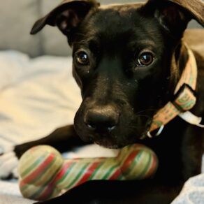 4e9a9e697ad82131566b0f1dd9de9428