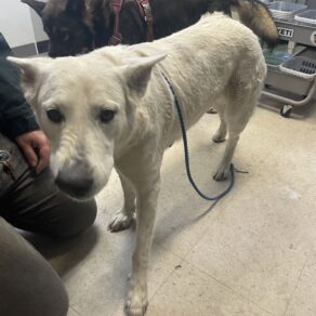 4fc6afd8669beb18d9538f3da5f8cbdd