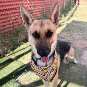 515920da562cf7786c72570882a7f850