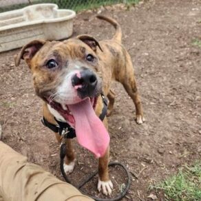 51cb74d33918346ff800d2dab53dba9c