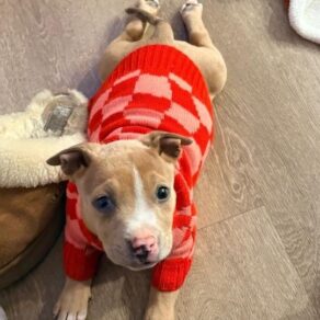 525df9fbc0ace0940dbe6490ffbe81c5