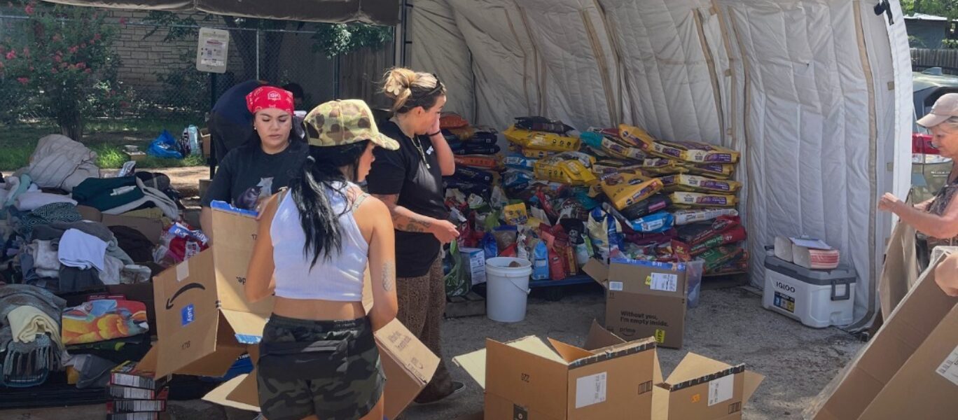 527790624 1293327485483147 6728272910512927573 n