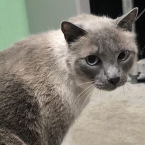 537e6e129077676dfab78afe9dfbc182