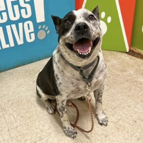 539f5c6264347fdb25c201bb992e59c9