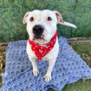 544c24aba0ad77d990cd65299c54bcd8