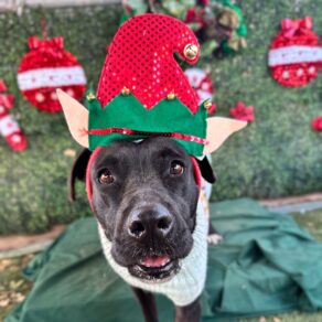 5475c5e28bcbf55ebffdfeb1ebb0dff1