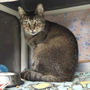 5599a11d6788dcfe4ff4a2100ee2c2bb