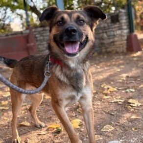 56075003090880b828aef0d49061d9c7