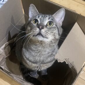 563e7841176bc7322373a32f7694ae41