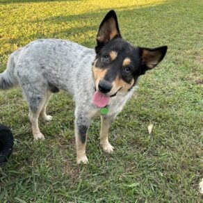 5996abe06f3e854768a412667a4a3fee