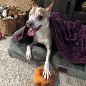 59a2d591cd803dd8fcb7fe04a6a21ef4