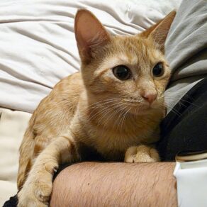 5bde85f730c70da35f550589ba38834c