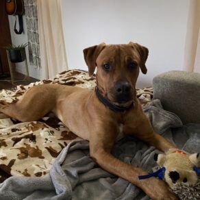 5ddcde850a17e24af95495e75acb81d3