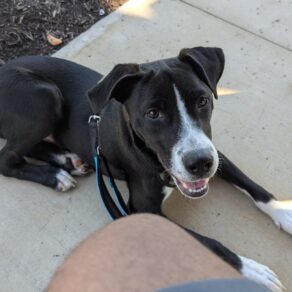 5f503f47d40c7fb9f39a74c169c75547