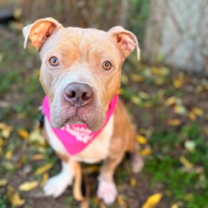 6095a43027a1ea9b4bf3fec736ff0e25