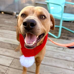 60d26ba2d94265cbf94e36bda30c2e00