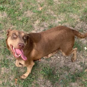 61faaf16291a7d880cf140f0ab545102