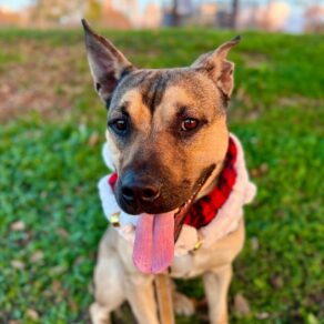 620c889faf76808a2bfd18d33683e5b1