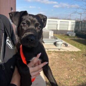 639647469312e4829b133d28f22d28b4