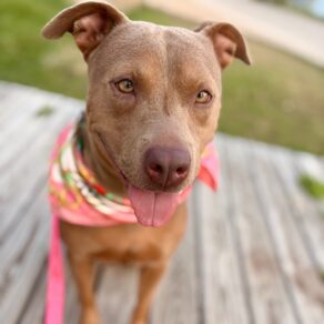 64f138549dff38c08b1fe4d6fd6c70f3