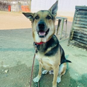 6527078ae0ab80038327ac5398d4f762