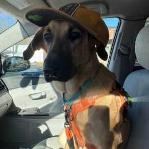 65a69e52bc2ed7f8d8f3ca961cc5b2c3