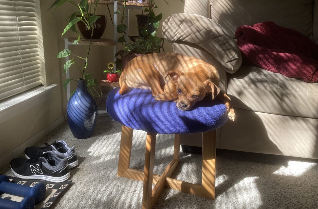 66292397164 23 F48 FF7 7 B57 4 C0 C 9 A9 F A9 BFD2 CE60 BA